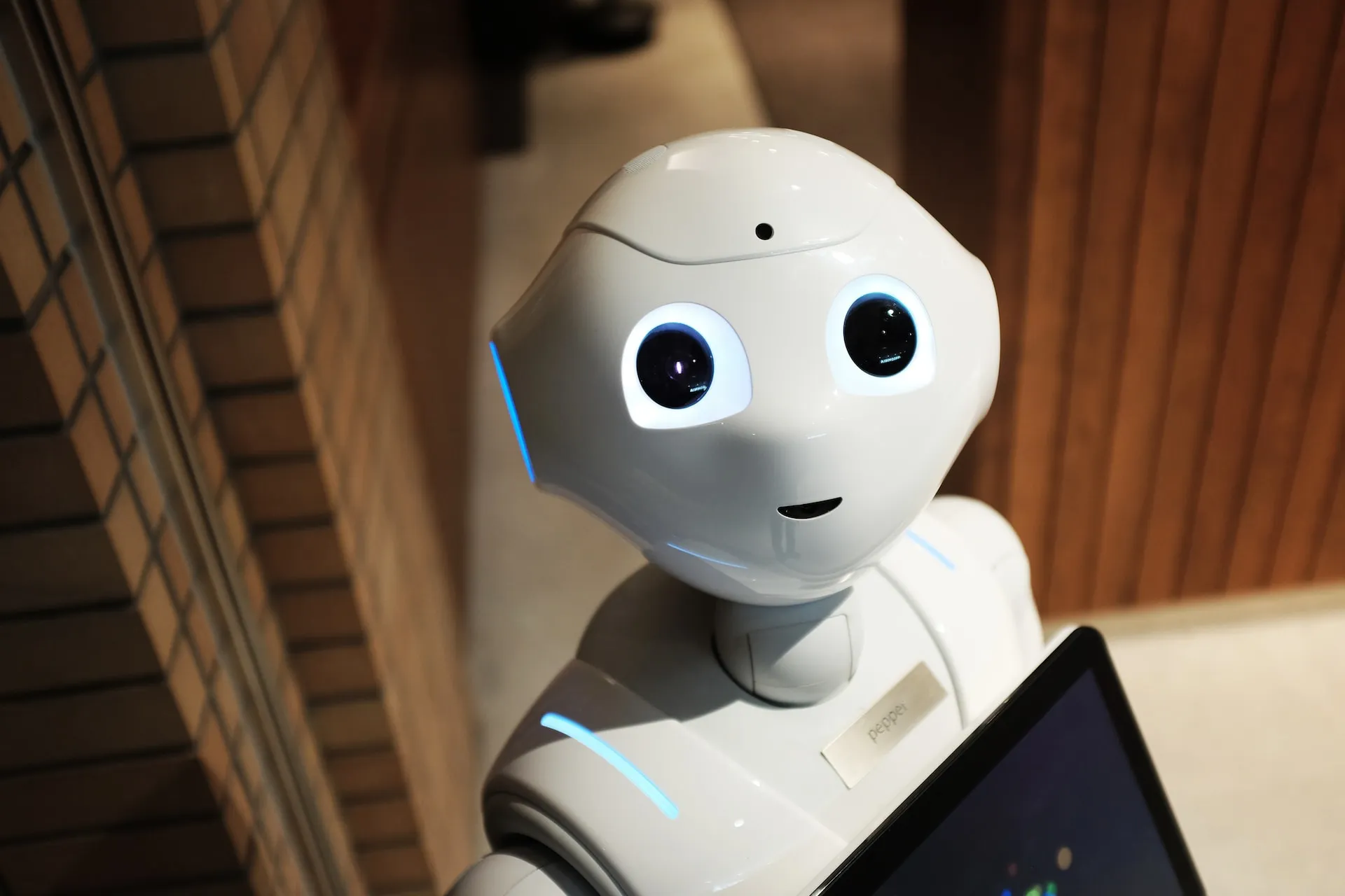 Robot Love 2